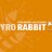 Pyro-Rabbit